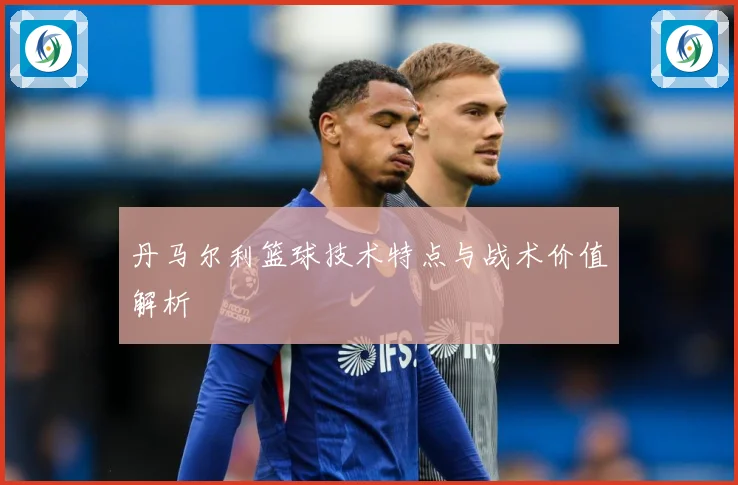 丹马尔利篮球技术特点与战术价值解析