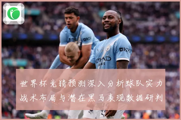 世界杯竞猜预测深入分析球队实力战术布局与潜在黑马表现数据研判